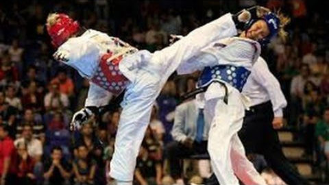 INJURIES OF THE TAEKWONDO ATHLETES IN THE OFFICIAL CHAMPIONSHIPS  OF THE GREEK TAEKWONDO FEDERATION